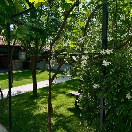 Casa Porumbelul 3* Vama Veche