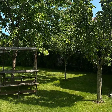 Casa Porumbelul Vama Veche