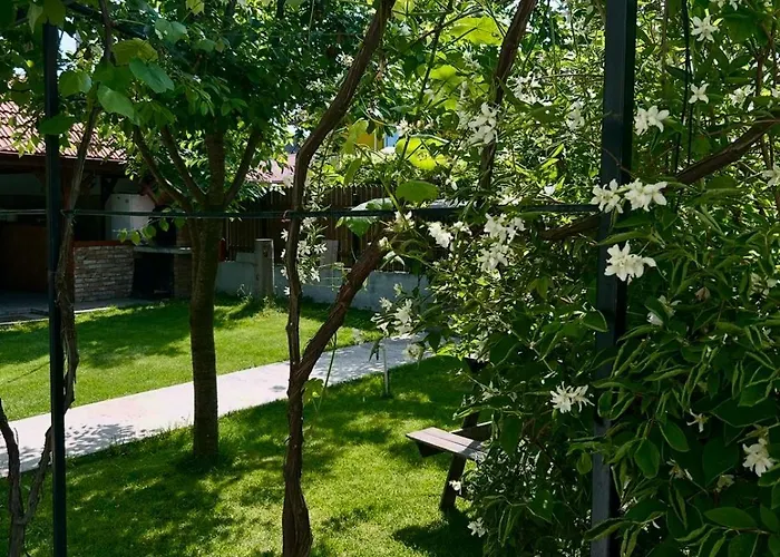 Casa Porumbelul 3* Vama Veche